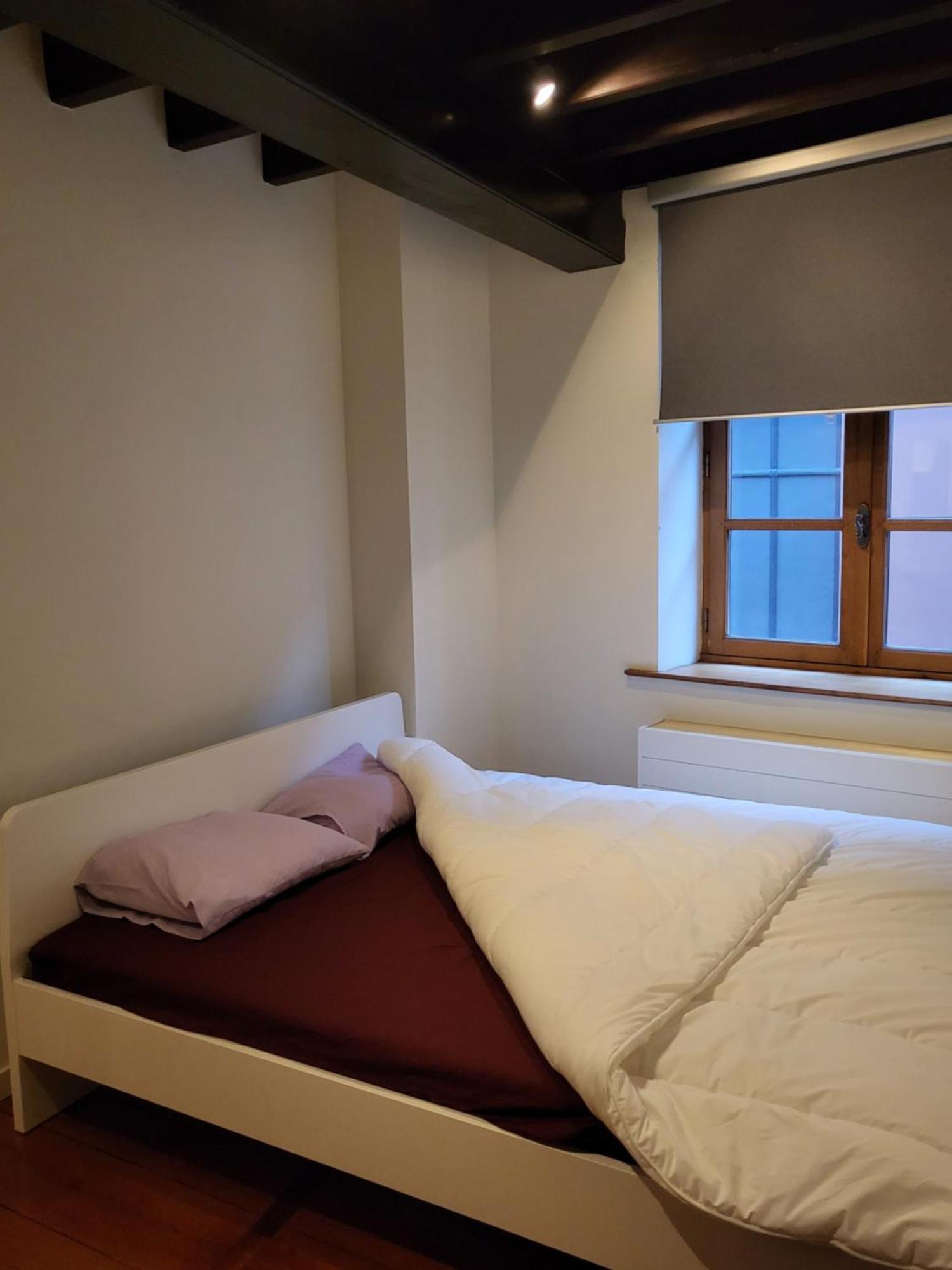 Viktoria Hostel Antwerpen Ruang foto